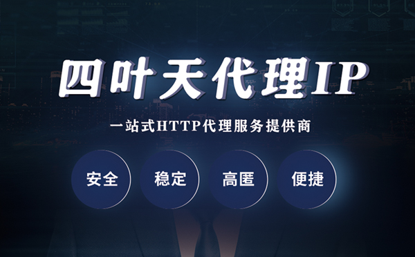 【怒江代理IP】代理ip客户端使用教程