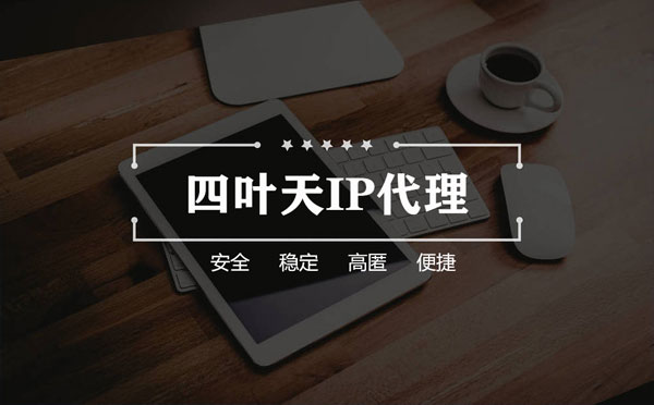 【怒江代理IP】如何快速搭建代理IP？怎么检查代理的效果？