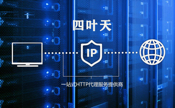 【怒江代理IP】代理IP的主要用途和使用注意事项